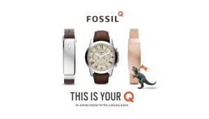 fossil