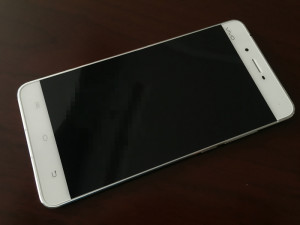 vivo1